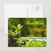 Beste Wünsche - Postkarten (Vorne/Hinten)