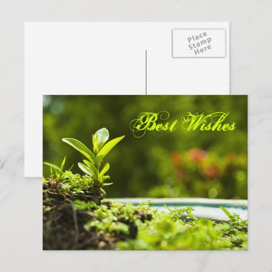 Beste Wünsche - Postkarten (Vorne/Hinten)