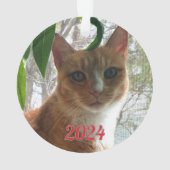 Beste Wunschkatze | beidseitig Ornament (Rückseite)