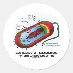 Besteht unter extremen Bedingungen sehr lange Runder Aufkleber