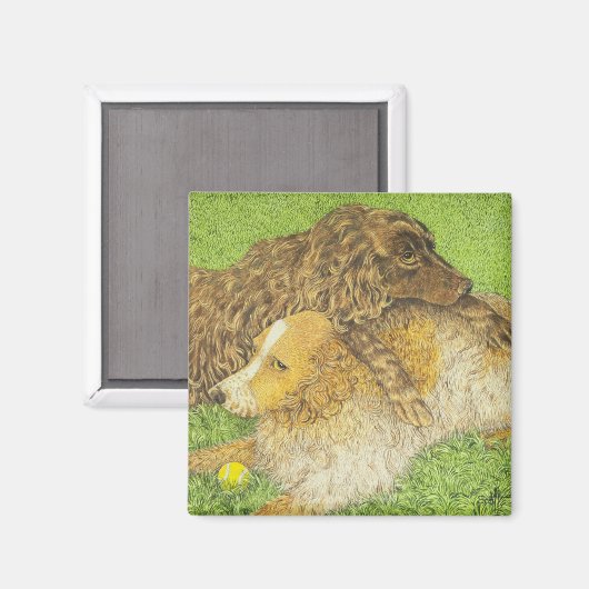 Besteigung Magnet (Vorderseite/Rückseite)