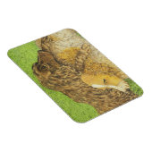 Besteigung Magnet (Rechte Seite)