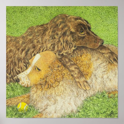 Besteigung Poster (Vorne)