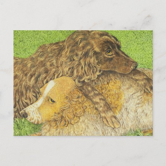 Besteigung Postkarte (Vorderseite)