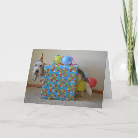 Bestellte jemand ein Geburtstagsgeschenk? Karte (Vorderseite)