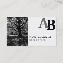 Bestens mit Portrait-Bildern