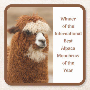 Bester Alpaka-Monobrow Rechteckiger Pappuntersetzer