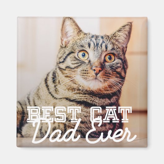 Bester Cat Vater je Modernes, benutzerdefiniertes Magnet (Vorne)