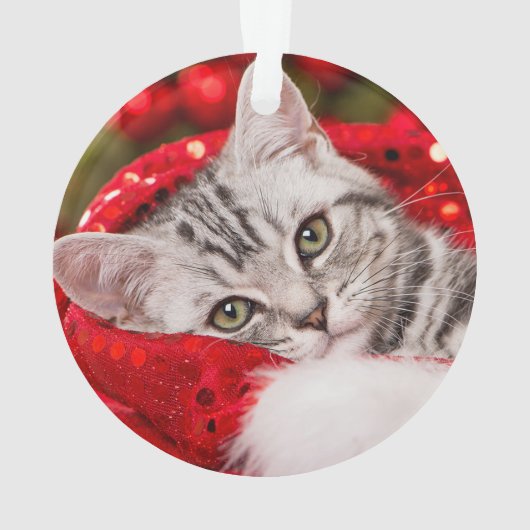 Bester Chat-Vater| Zwei handgeschriebene Foto Ornament (Rückseite)