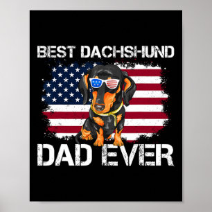 Bester Dachshund-Vater überhaupt, patriotischer Wi Poster