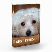 Bester Freund Fotoblock (Links)