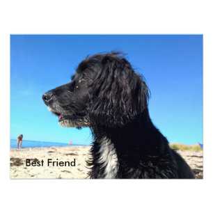 Bester Freund Fotodruck