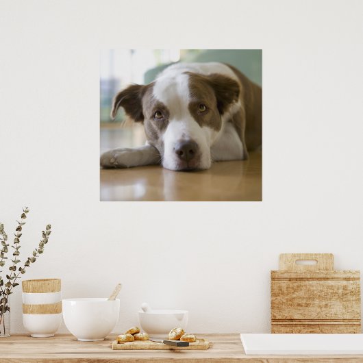 Bester Freund Poster (Küche)