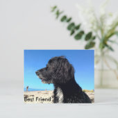 Bester Freund Postkarte (Stehend Vorderseite)