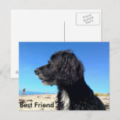 Bester Freund Postkarte (Vorne/Hinten)