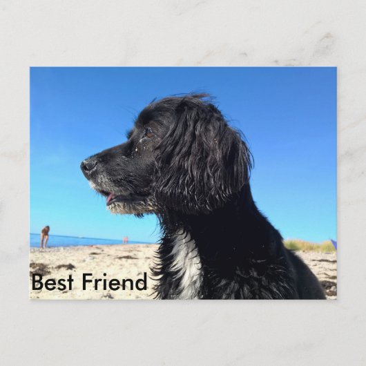 Bester Freund Postkarte (Vorderseite)