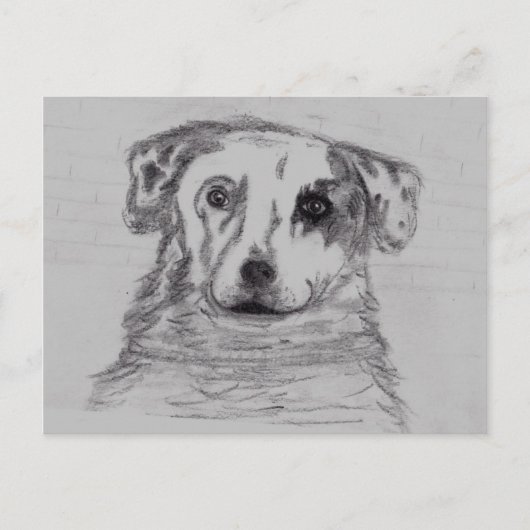 Bester Freund Postkarte (Vorderseite)