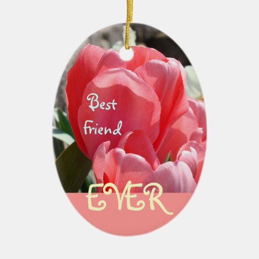 Bester Freund verziert überhaupt rosa BBF Keramikornament (Vorne)