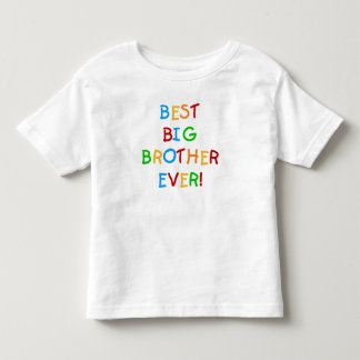 Bester großer Bruder je Kleinkind T-shirt