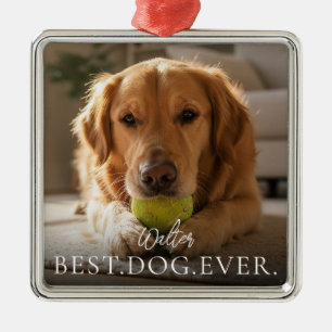 Bester Hund Aller Zeiten Name Deines Haustieres un Ornament Aus Metall