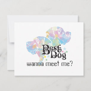 Bester Hund "farbig"