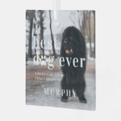 Bester Hund je | Angebot und Foto Ornament Aus Glas (Vorderseite links)