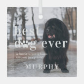 Bester Hund je | Angebot und Foto Ornament Aus Glas (Vorderseite)