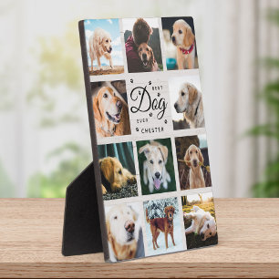 Bester Hund je Bauernhof Rustikale Fotomaterial Pa Fotoplatte