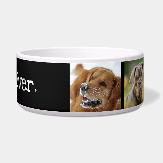 Bester Hund je Foto Collage Spaß Schwarz-weiße Sch Napf (Rechts)