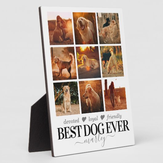 Bester Hund je Foto Fotoplatte (Seite)