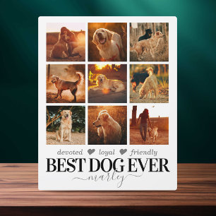 Bester Hund je Foto Fotoplatte