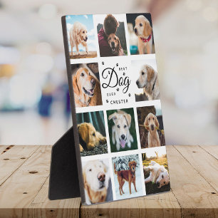 Bester Hund je Memorial Modern Foto Collage Paw Fotoplatte