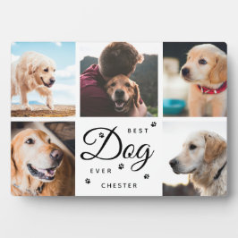Bester Hund je Memorial Paws Modern Foto Collage Fotoplatte