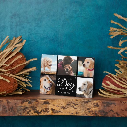 Bester Hund je Memorial Paws Modern Foto Collage Fotoplatte (Seite)