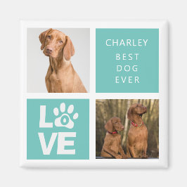Bester Hund je | Personalisiertes Foto Magnet