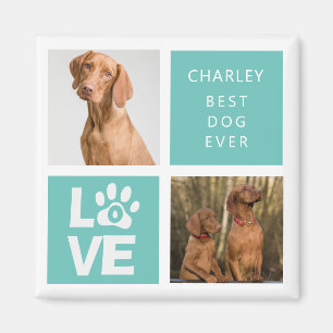 Bester Hund je Personalisiertes Foto Magnet