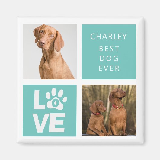 Bester Hund je | Personalisiertes Foto Magnet (Vorne)