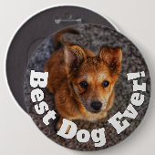 Bester Hund überhaupt Button (Vorne & Hinten)