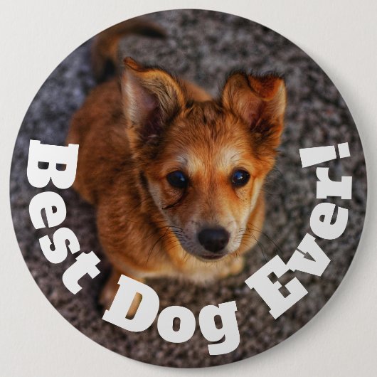 Bester Hund überhaupt Button (Vorderseite)