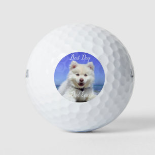 Bester Hund Vater je Foto Haustiere Spaß Puppy Gol Golfball