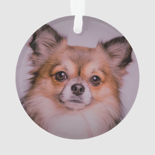 Bester Hund-Vater| Zwei handgeschriebene Foto Ornament (Rückseite)
