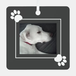 Bester Hunde-Vater Niedlicher Foto-Rahmen mit Paws Ornament Aus Metall