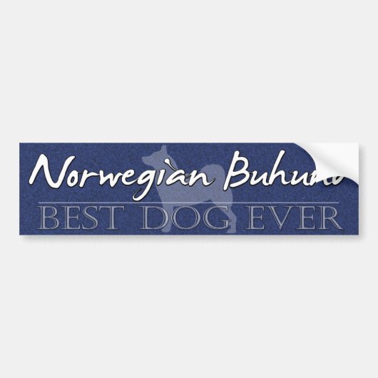 Bester Hundenorweger Buhund Autoaufkleber (Vorne)