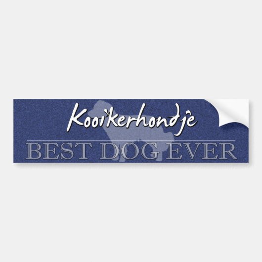 Bester HundKooikerhondje Autoaufkleber (Vorne)