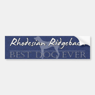 Bester HundRhodesian Ridgeback Autoaufkleber