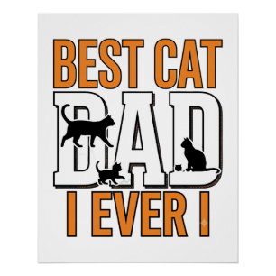 Bester Katzenvater überhaupt Vintage Katzenvater-S Poster