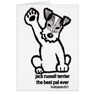 Bester Kumpel Jack-Russells