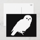 Bester Preis Weißer Barn Owl Grafik Postkarte (Vorne/Hinten)
