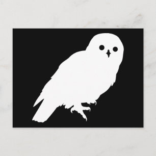 Bester Preis Weißer Barn Owl Grafik Postkarte