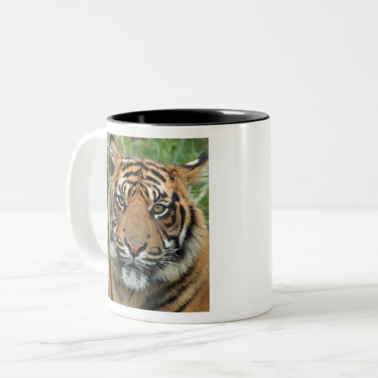 Bester Tiger Zweifarbige Tasse (Vorderseite Links)